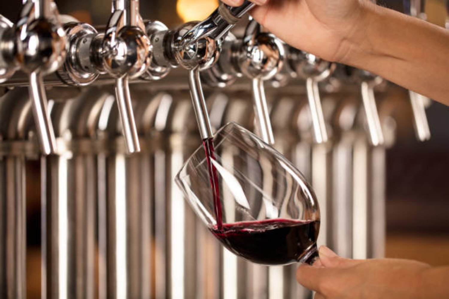 distribution du vin au robinet servir le vin au robinet